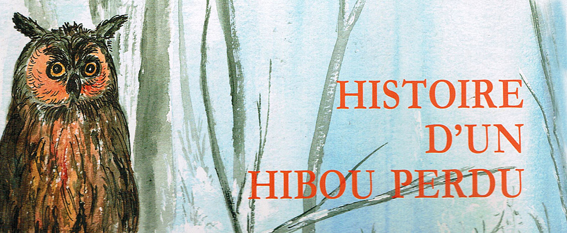 Histoire d'un hibou perdu