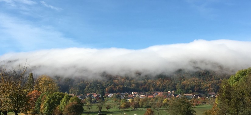 Haegen brouillard