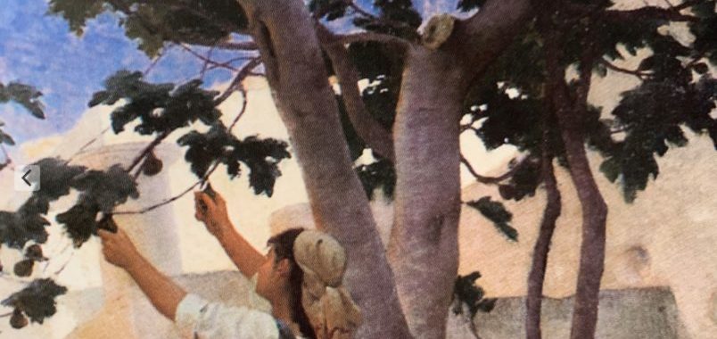 La cueillette des figues Paul-Edouard Rossert -Granger Ecole française du XIXe siècle Muée Granet Aix-en-Provence